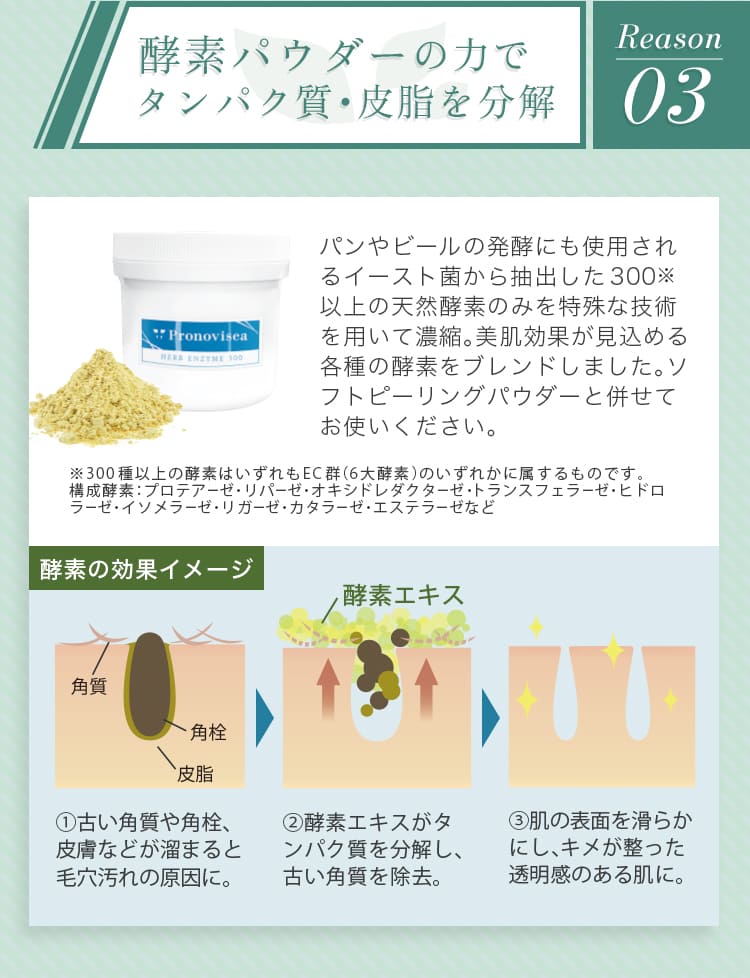 Reason3 酵素パウダーの力でたんぱく質・皮脂を分解