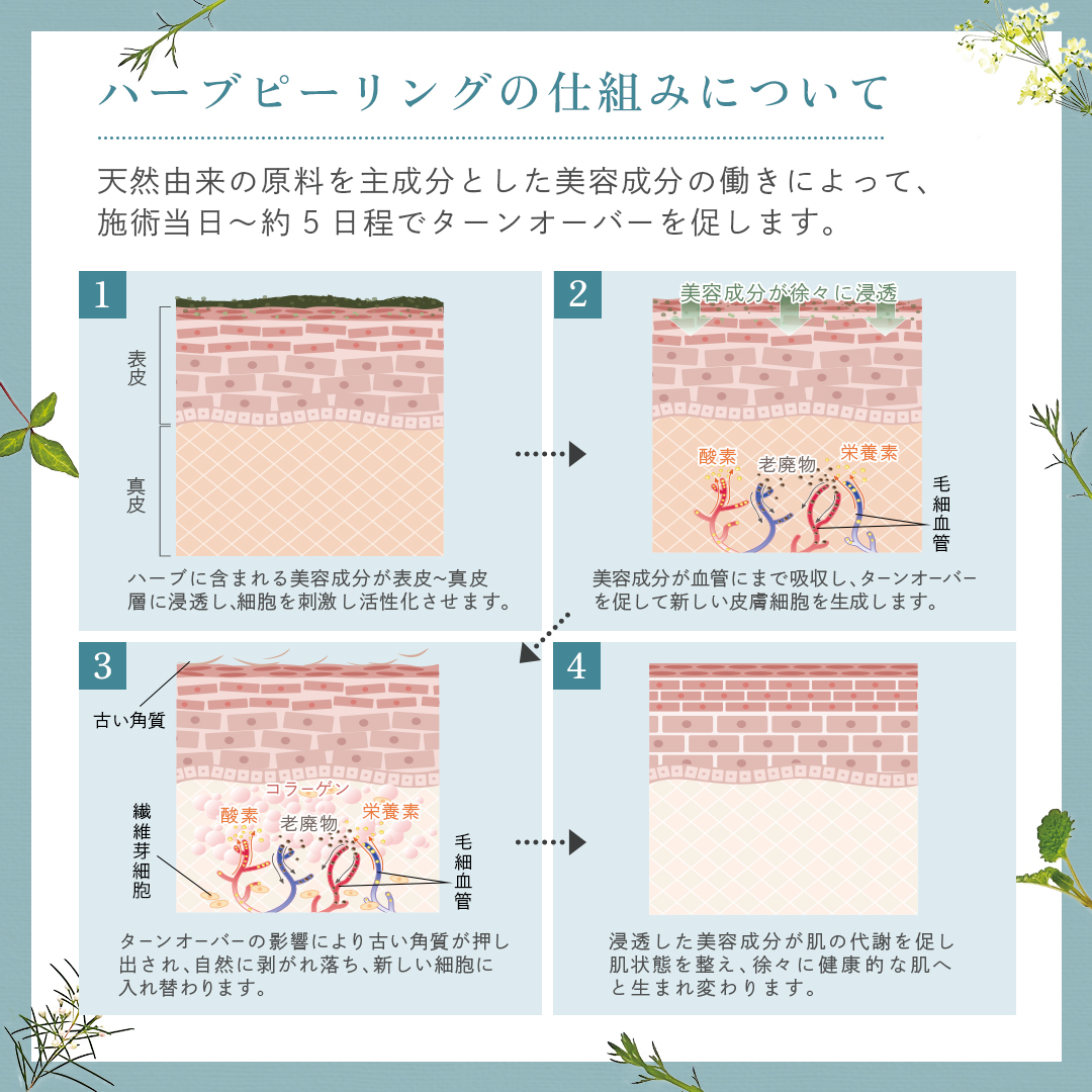 ハーブピーリングの仕組みについて