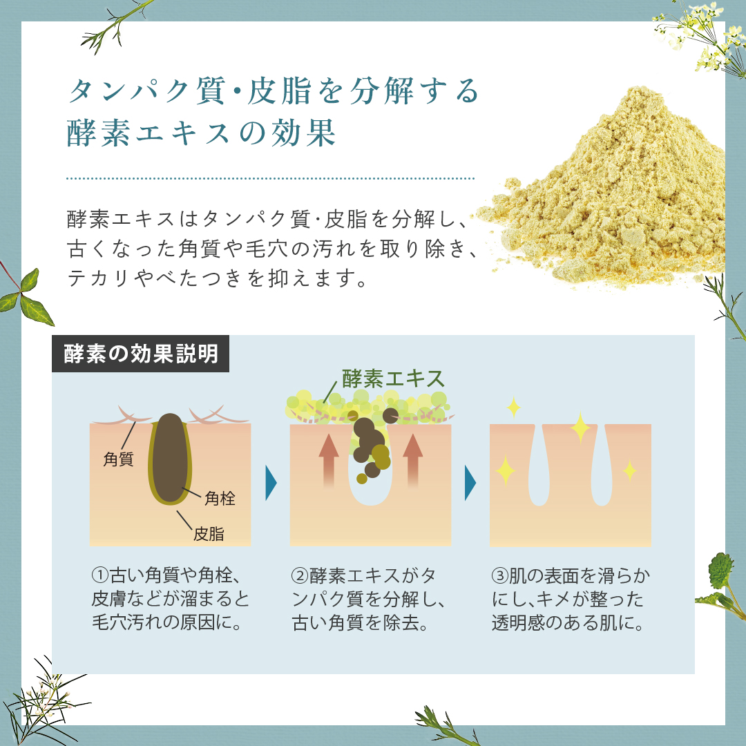 タンパク質・皮脂を分解する酵素エキスの効果
